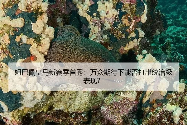 mu-ba-pei-huang-ma-xin-sai-ji-shou-xiu-wan-zhong-qi-dai-xia-neng-fou-da-chu-tong-zhi-ji-biao-xian-2-516.jpg